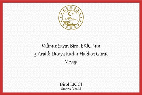 Valimiz Sayın Birol EKİCİ'nin 5 Aralık Dünya Kadın Hakları Günü Mesajı